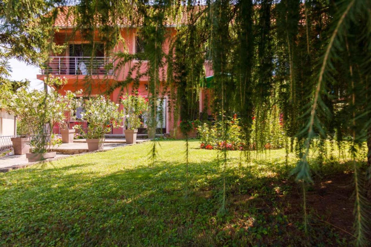 Studio 1 Golubac Dış mekan fotoğraf